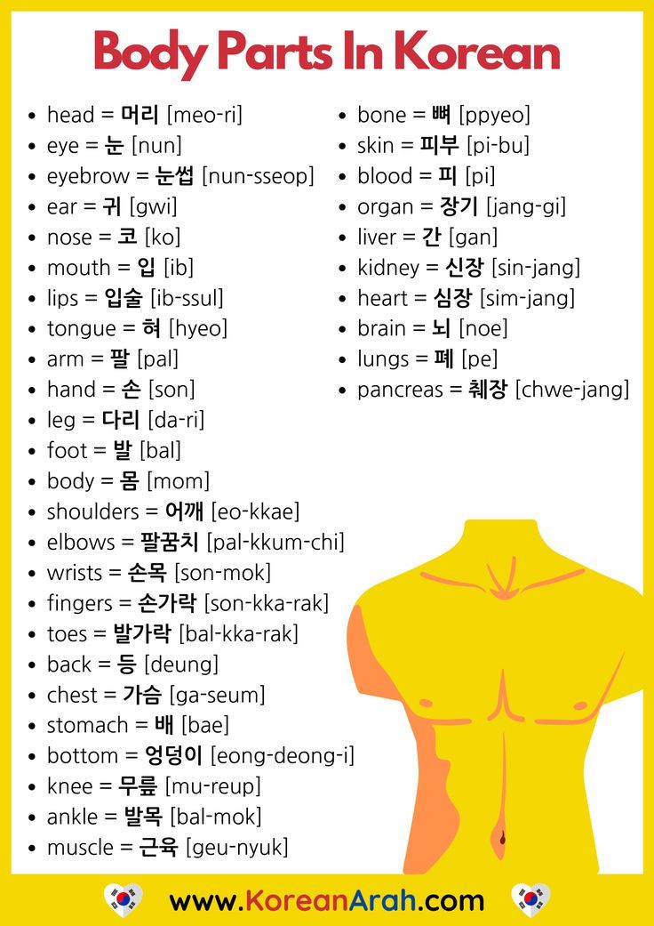 the body parts in korean text on a yellow background with an image of a woman's torso