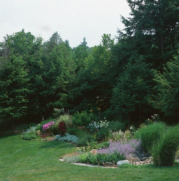 a lush green field filled with lots of trees and flowers next to a park bench