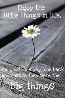 a white flower sitting on top of a wooden floor next to a quote that reads, enjoy the little things in life for you'll