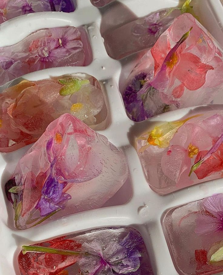 several ice trays filled with different colored flowers