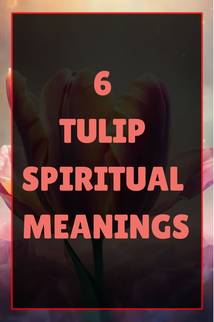 the words 6 tulip spiritual meaningss in front of a photo of a tulip