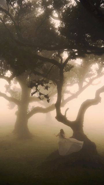 a woman is standing in the fog by some trees