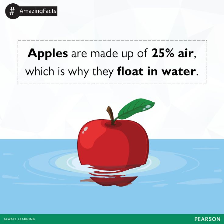 an apple floating in water with the caption apples are made up of 25 % air which is why they float in water