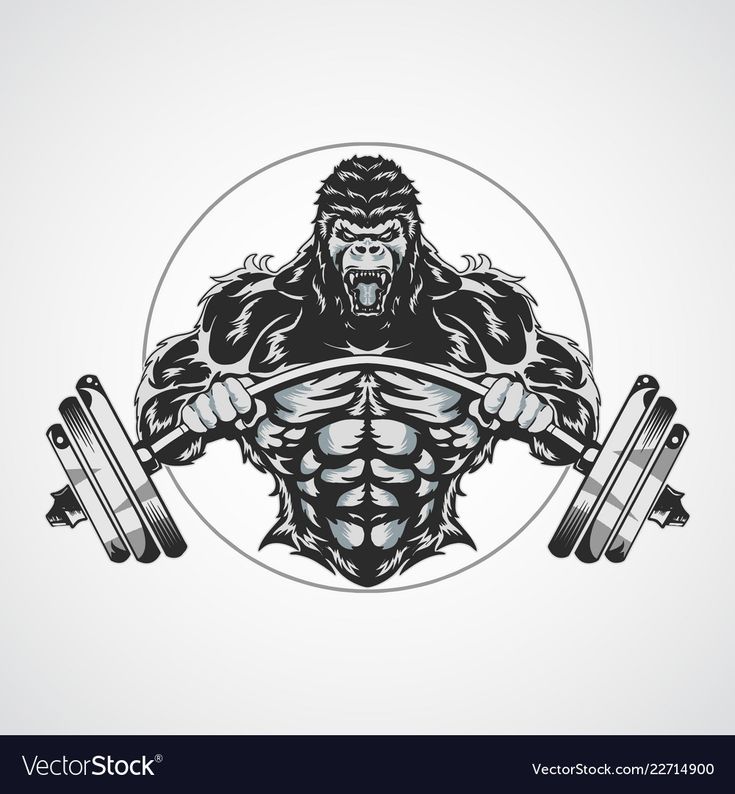 an illustration of a gorilla holding two dumbs in front of his chest and arms