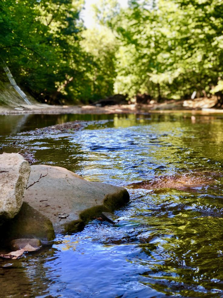 a river running through a forest filled with lots of green trees next to tall rocks