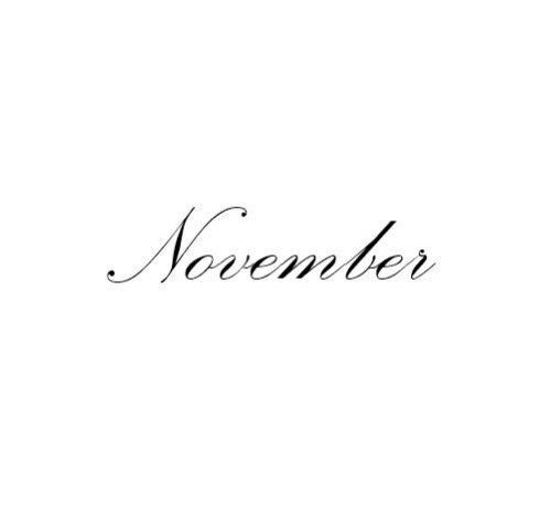 the word november written in cursive writing on a white background with black ink