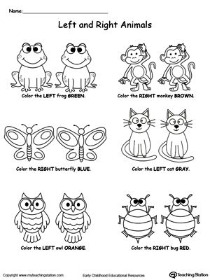 an animal worksheet with the words left and right animals