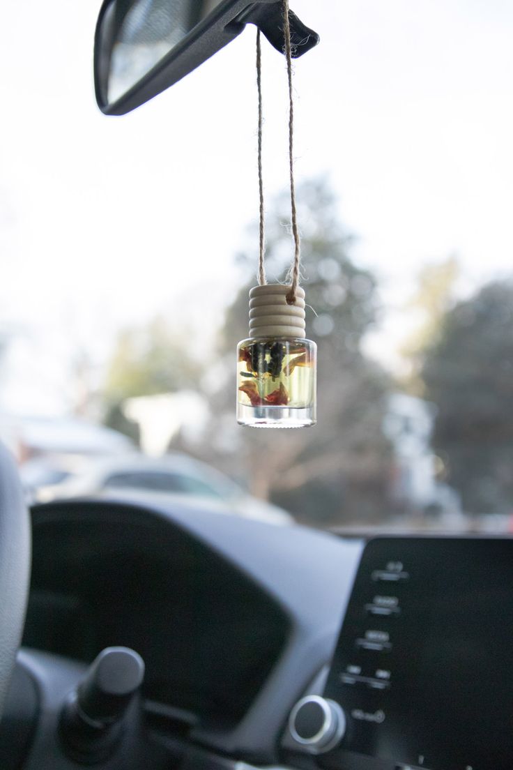 a car dashboard with a jar hanging from it's ceiling