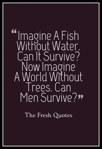 a quote that reads imagine a fish without water can't survive now imagine a world without trees can men survive?