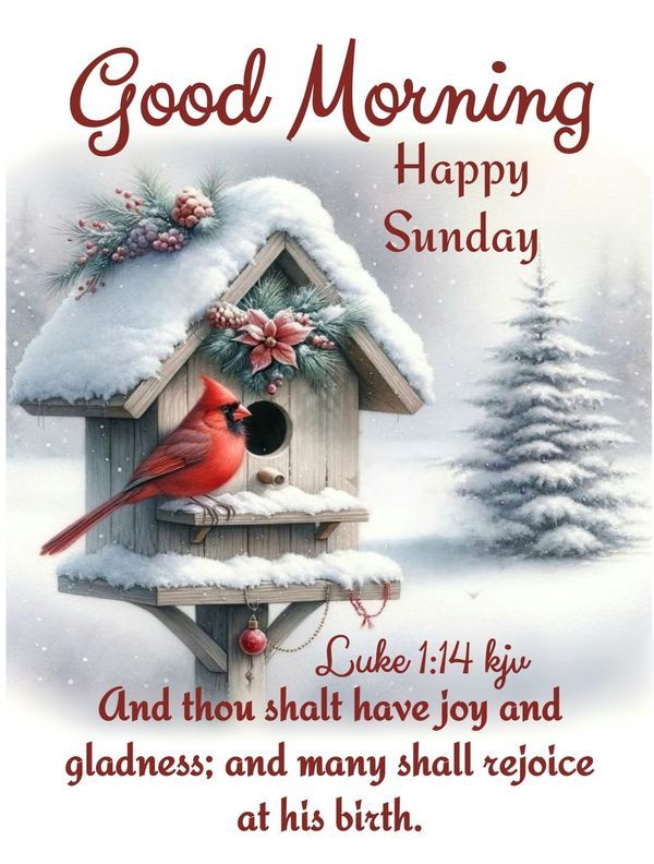 a birdhouse with a cardinal sitting on top of it and the words good morning happy sunday