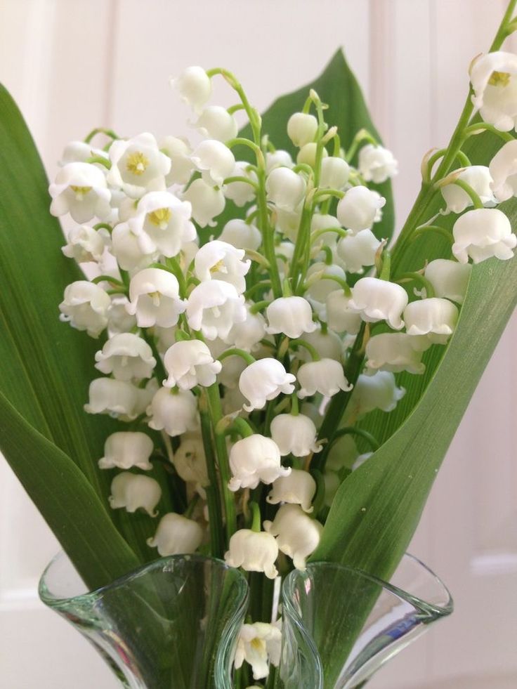 a vase filled with white flowers on top of a table