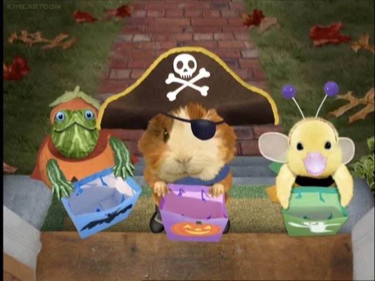 two hamsters are dressed up as pirates and one has a stuffed animal in front of them