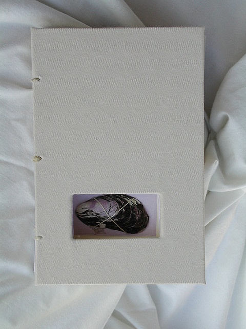 an open book on a white sheet with a black feather in the middle and a button