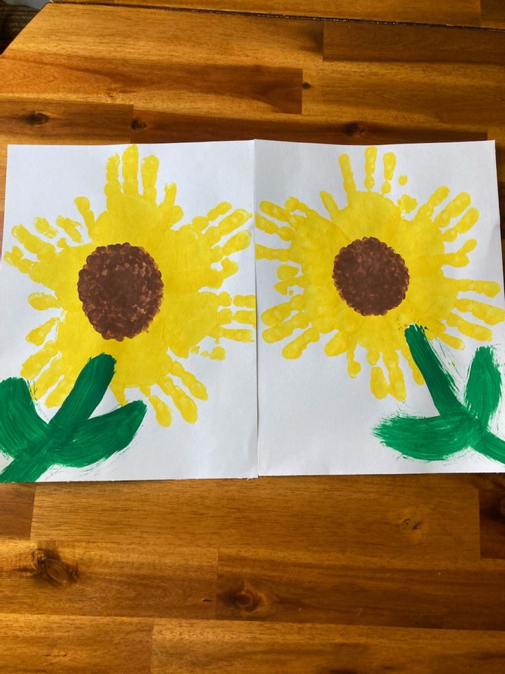 two sunflowers painted on white paper with green leaves