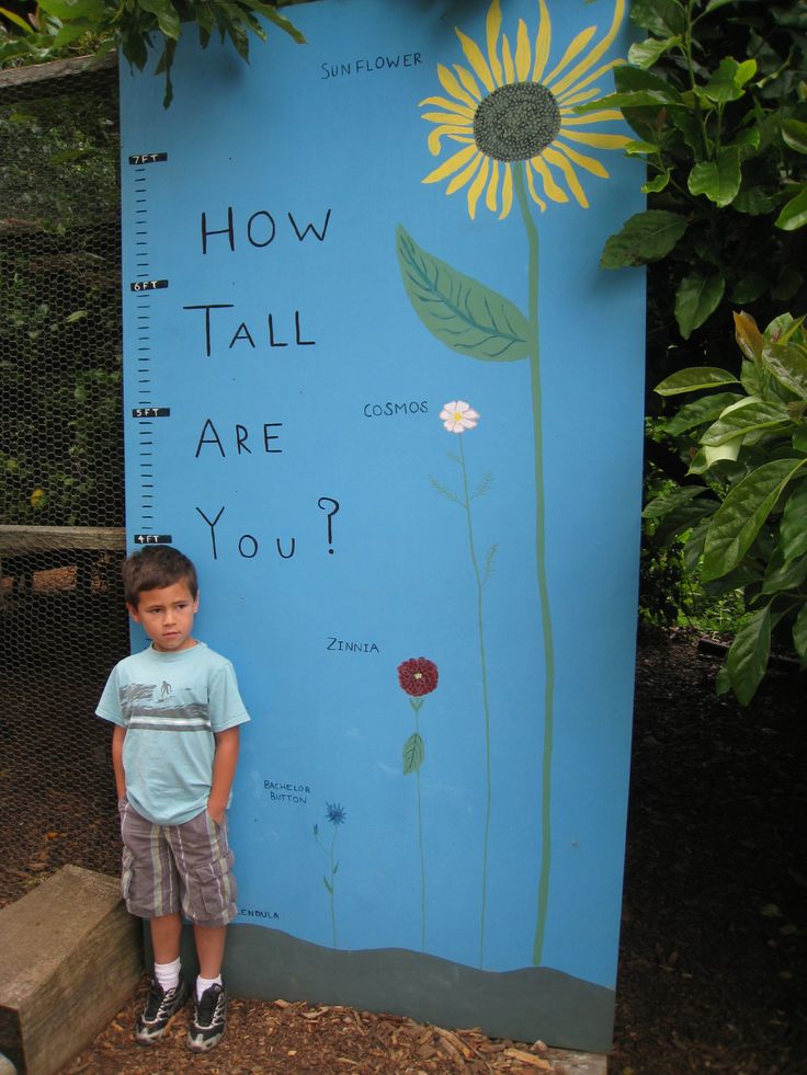 a young boy standing in front of a tall growth chart with sunflowers on it