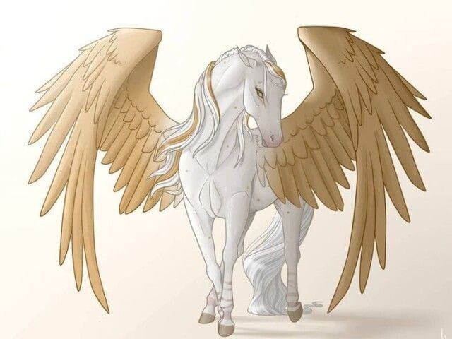 a white horse with brown wings on it's back