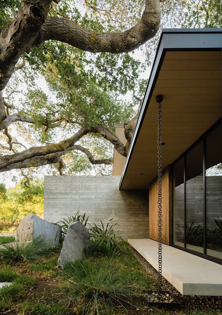 a house with a large tree in the front yard and concrete steps leading up to it