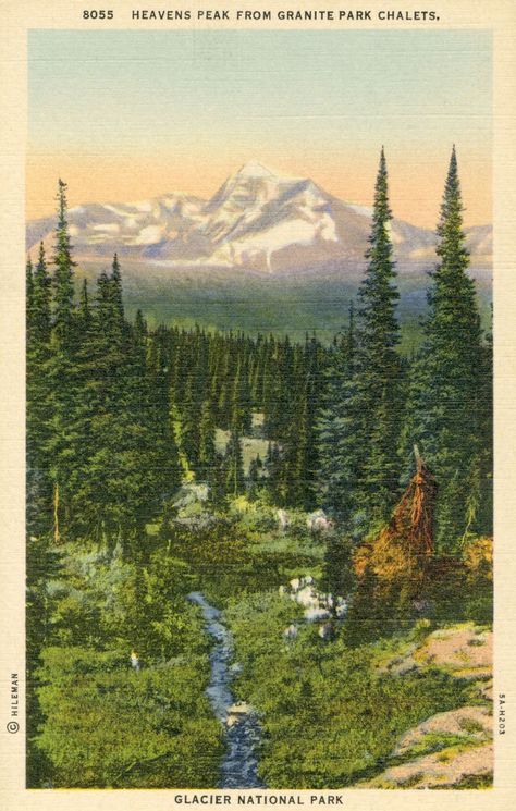 an old postcard shows a mountain scene with trees and stream in the foreground