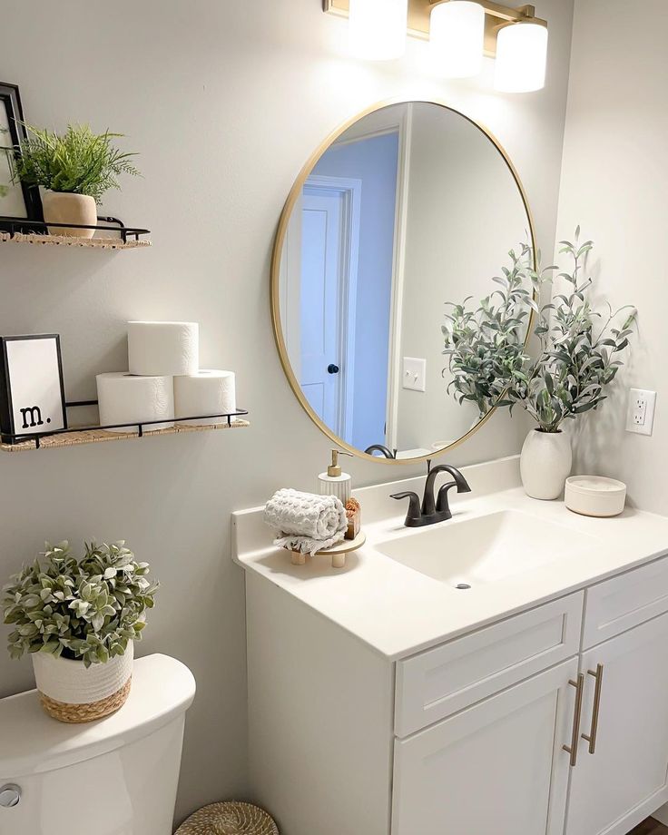 a bathroom with a toilet, mirror and plants on the shelves above the sink area