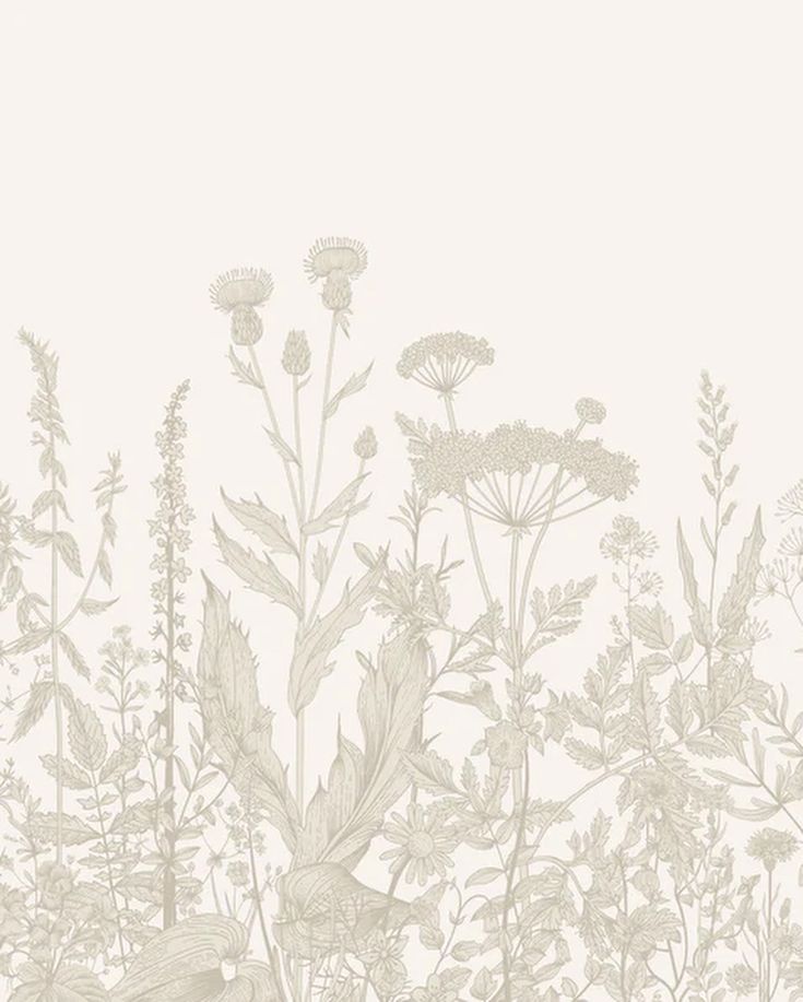 an image of flowers and plants on a white wallpapered background with neutral tones