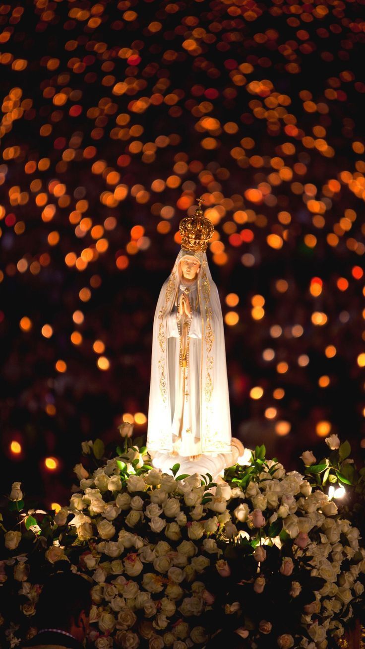 the statue of our lady of guadalupe is surrounded by flowers and lit up with lights