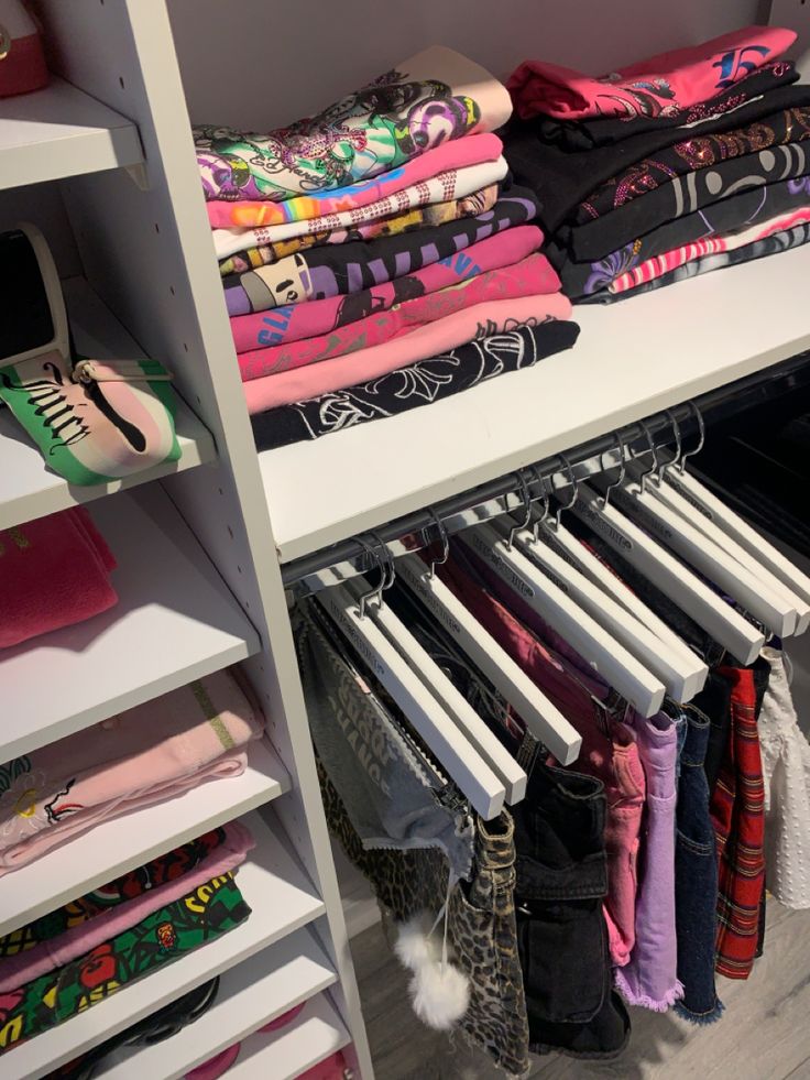 an organized closet with clothes and handbags on shelving units, including t - shirts