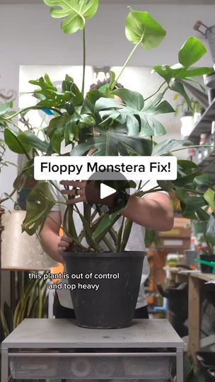 a man holding a potted plant with the words floppy monster fix on it's screen