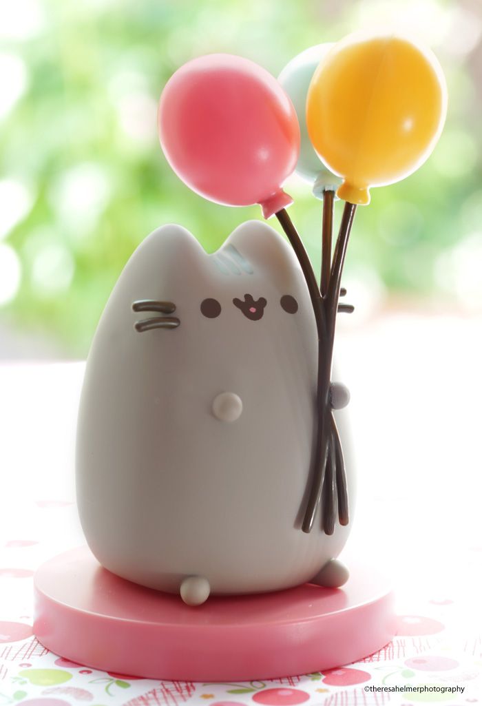 there is a cat that has balloons in it