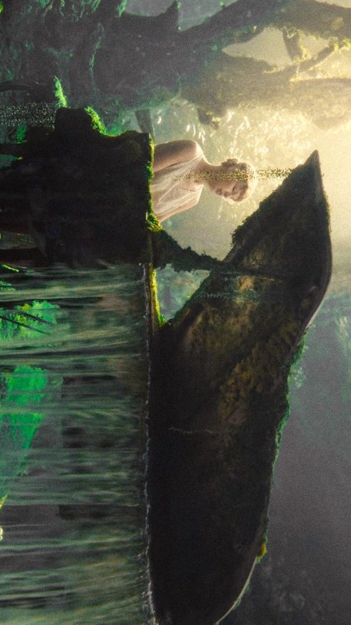 an underwater scene with a woman in the water