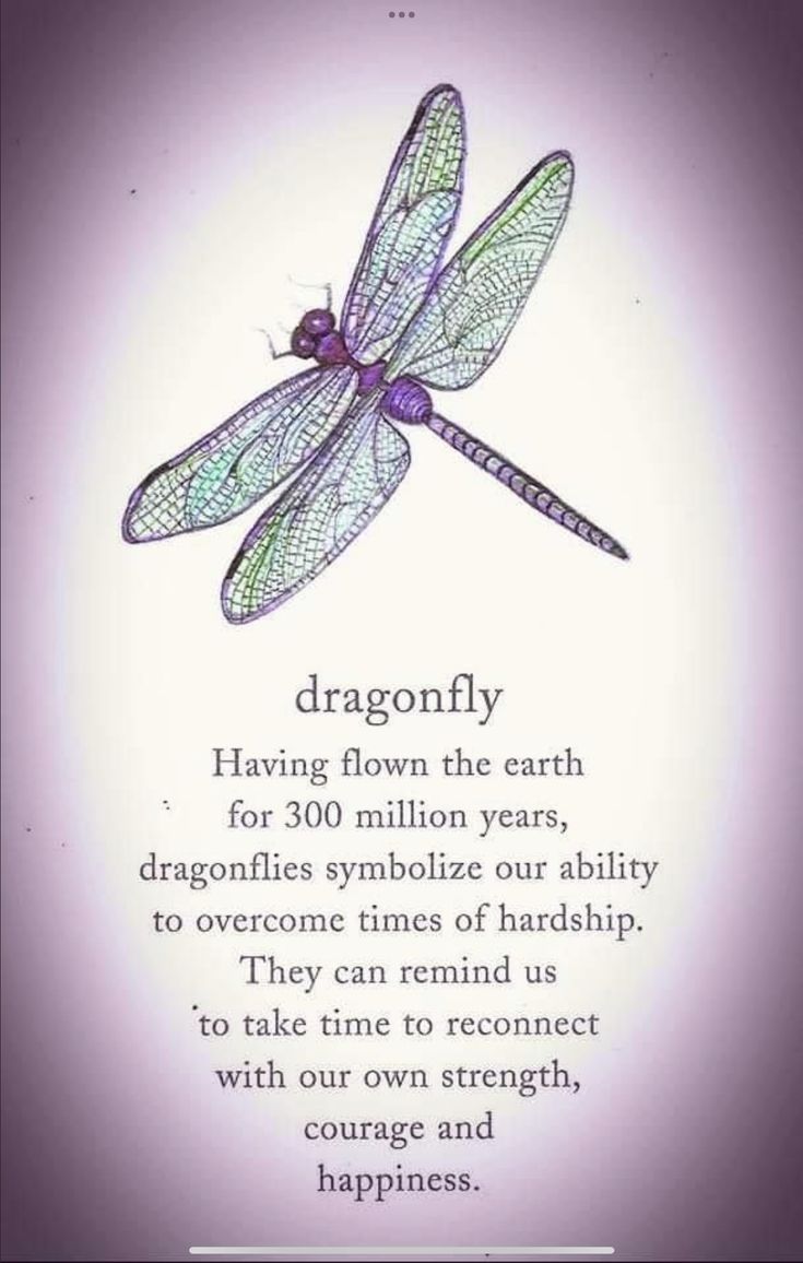 a blue dragonfly sitting on top of a white background with a poem below it