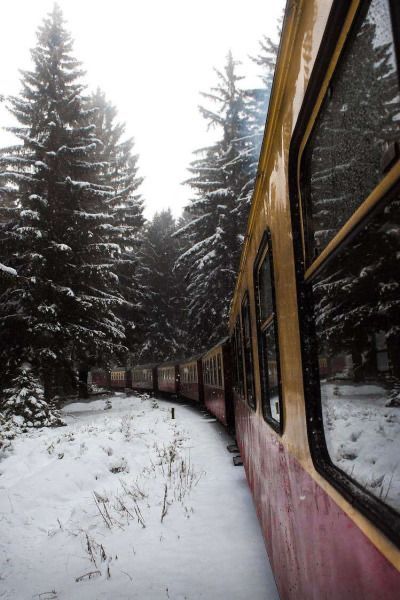 a train traveling through a snow covered forest next to tall pine trees on a snowy day