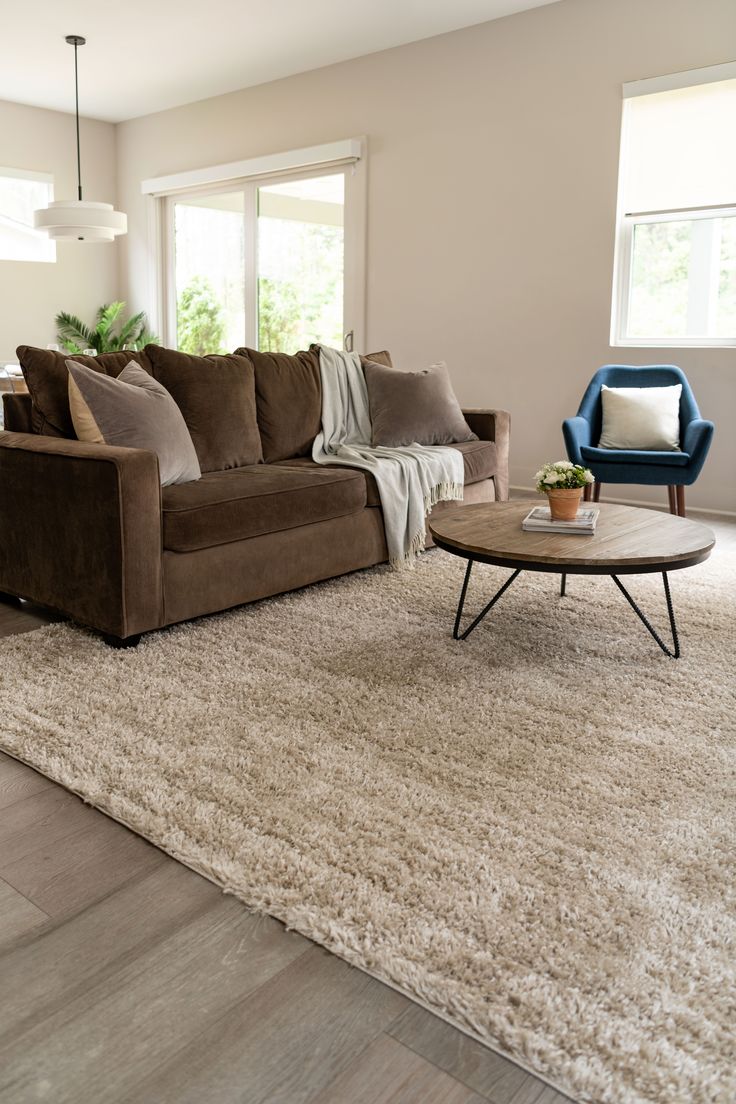 a living room filled with furniture and a rug