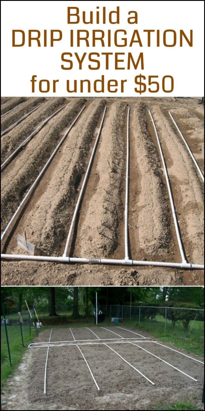 there are many rows of dirt on the ground with words above it that read build a drip irrigation system for under $ 50