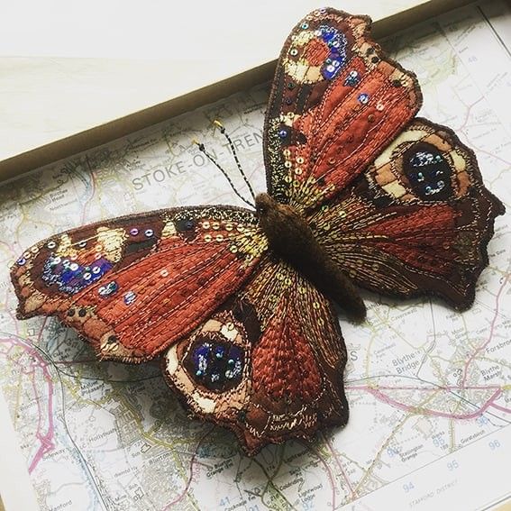 a close up of a butterfly on a map