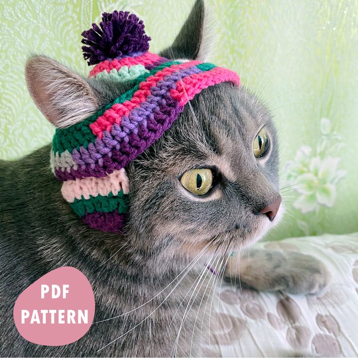 a gray cat wearing a multicolored knitted hat