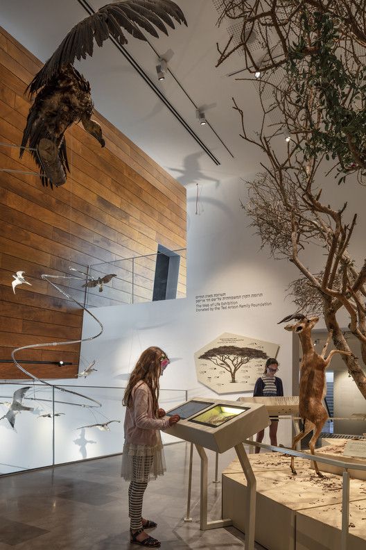 a woman standing in front of a display of birds and other animals at a museum