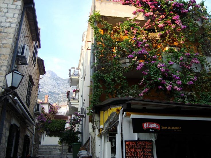 an alleyway with flowers growing on the side of buildings