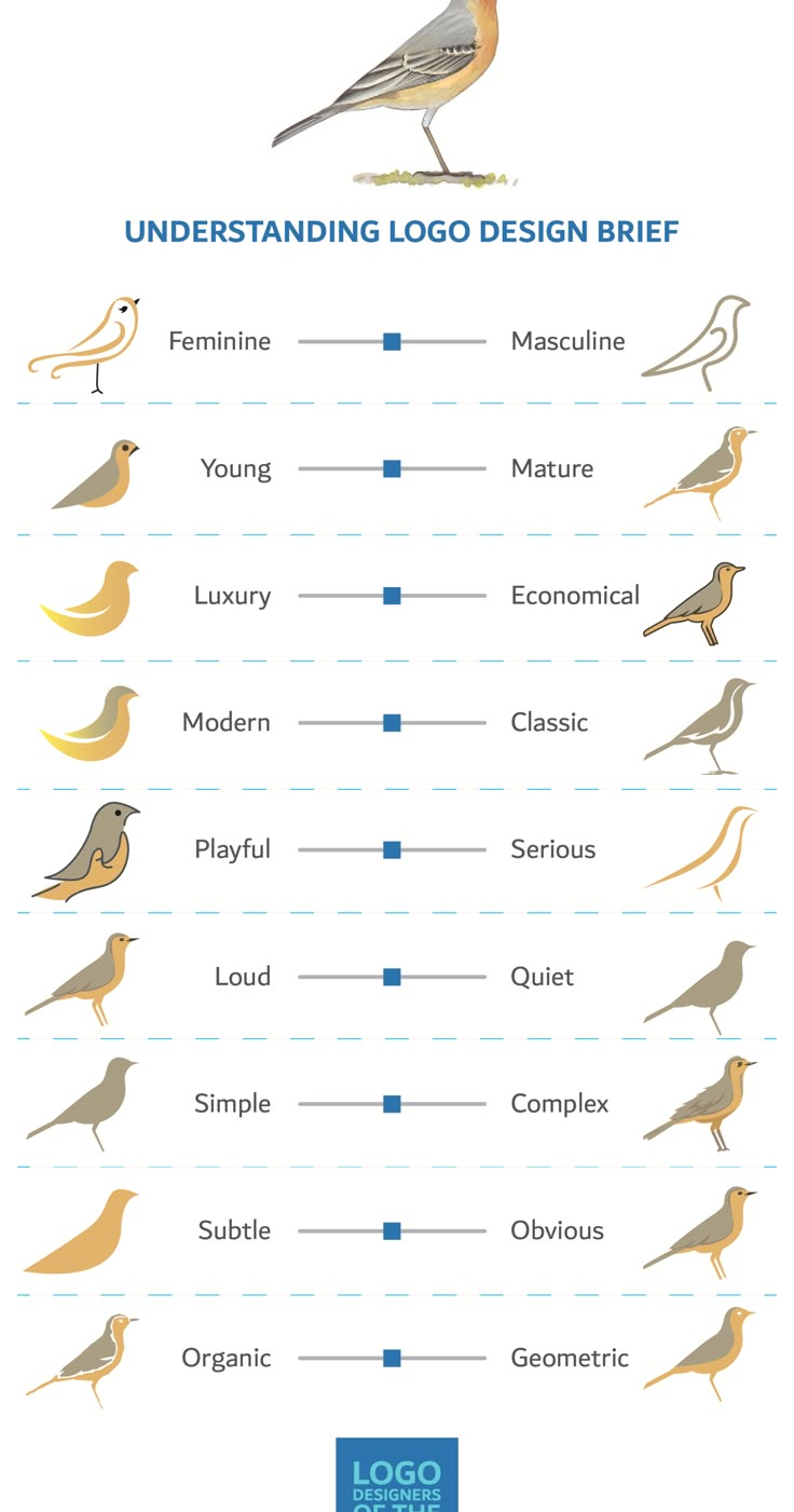 birds with different names and colors on them, including one bird standing in the middle