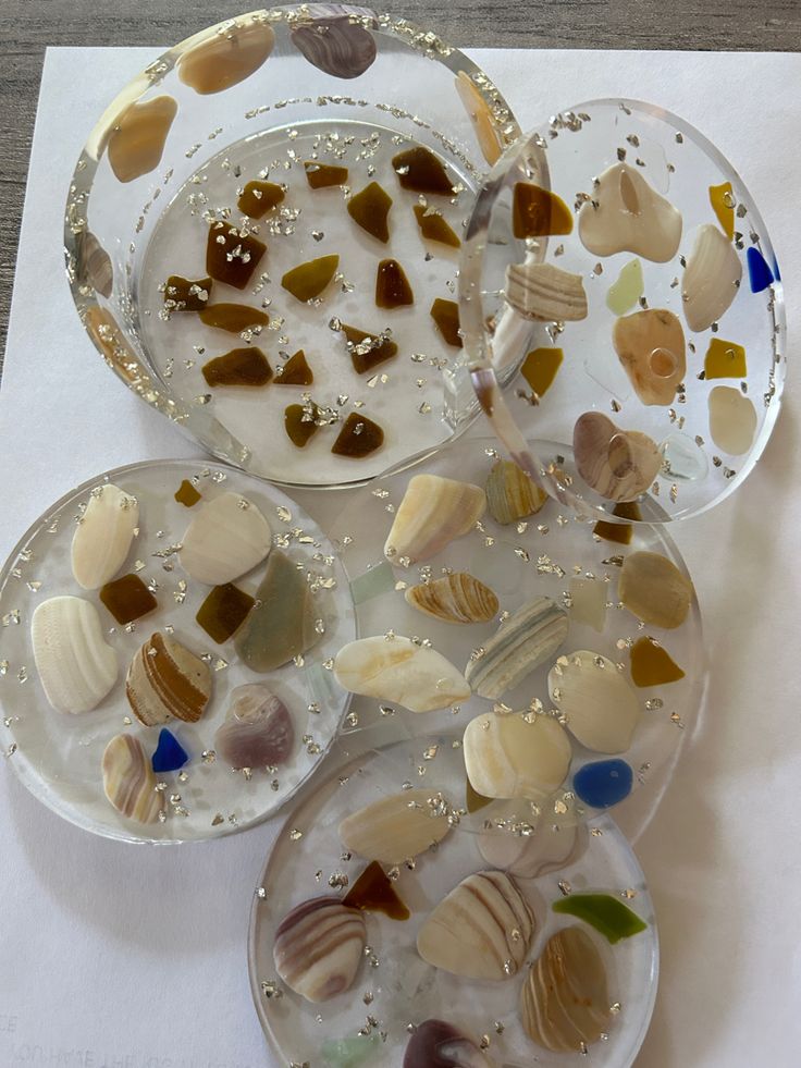 four plates with different types of sea shells on them