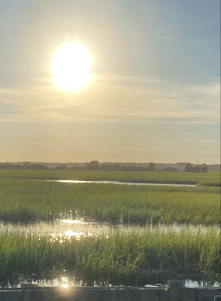 the sun shines brightly over some water and grass