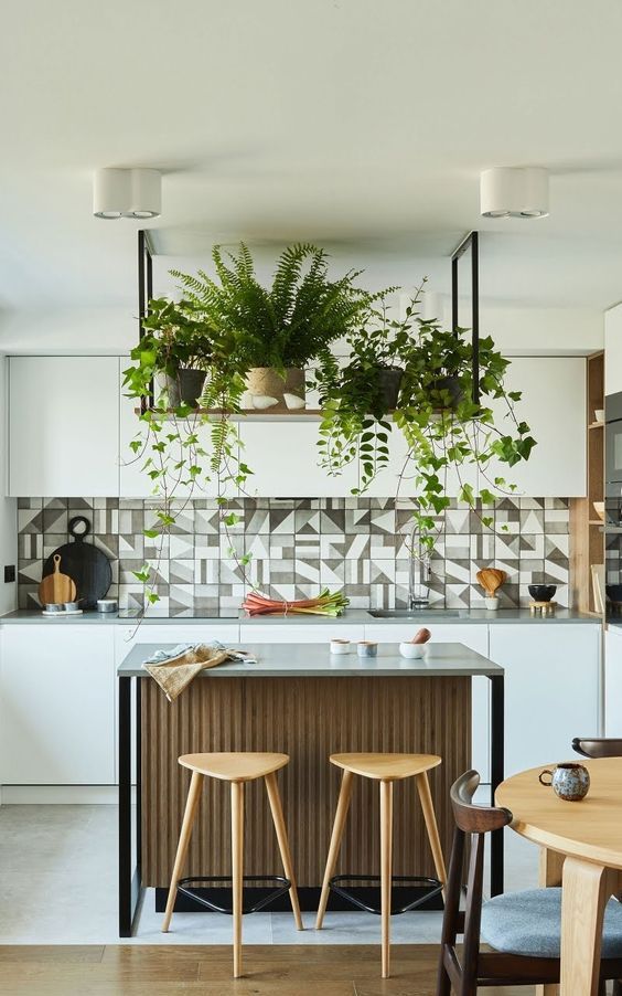 a kitchen with plants hanging from the ceiling