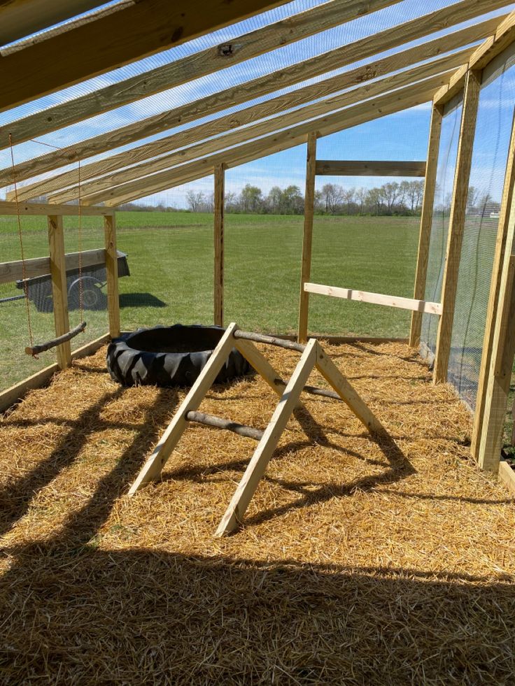 an animal laying on top of hay in a barn next to a chicken coop with windows