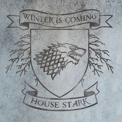 the house stark crest is shown on a concrete wall with an inscription that reads winter is coming