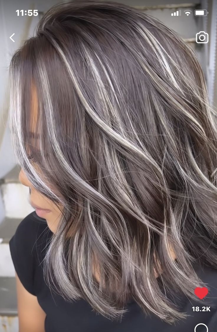 Brown Hair With Silver Highlights, Ash Grey Hair, Rambut Brunette, Grey Hair Transformation, Ash Blonde Hair Colour, Grey Hair Inspiration, Silver Highlights, Silver Hair Color, Ash Blonde Hair