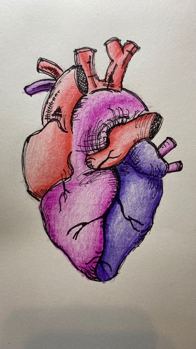 a drawing of a heart with two different colors