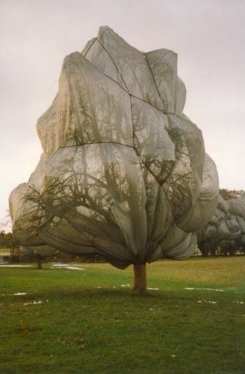 an artistic sculpture in the shape of a tree with its branches wrapped around it's trunk