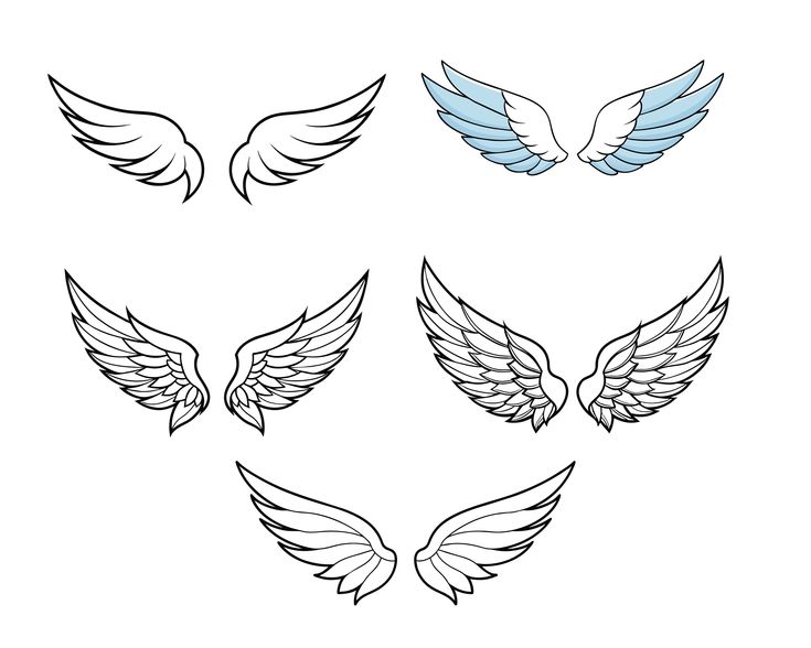 four different types of wings on a white background, each with one wing in the center