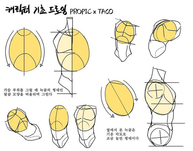 an image of how to draw a basketball ball in different positions and sizes with chinese writing