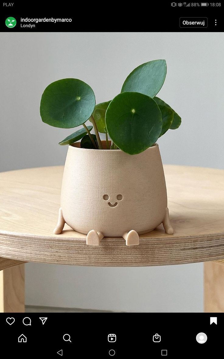 a potted plant sitting on top of a wooden table next to a cell phone