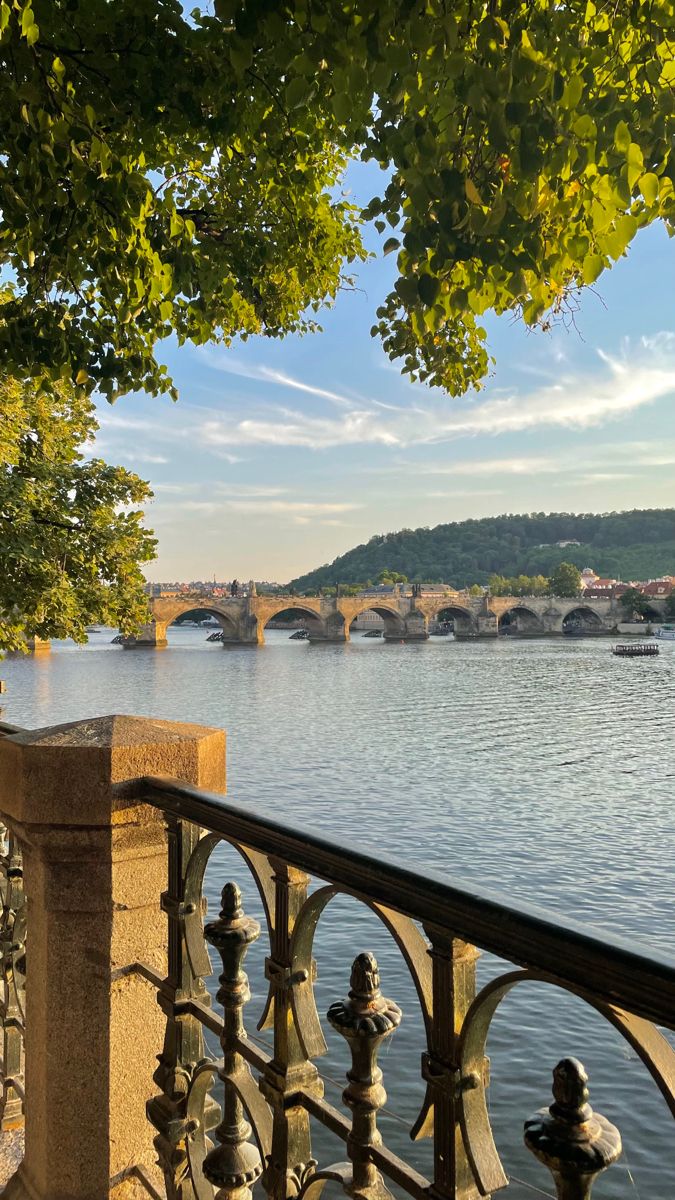 a view of the river and bridge in prague, with trees overhanging it